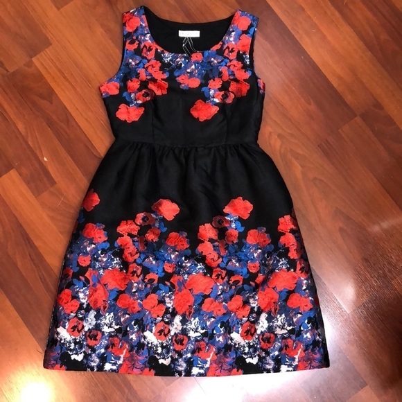 Frock Shop Black Blue Red Brushstroke Floral Fit and Flare Dress Size Small - Picture 2 of 9